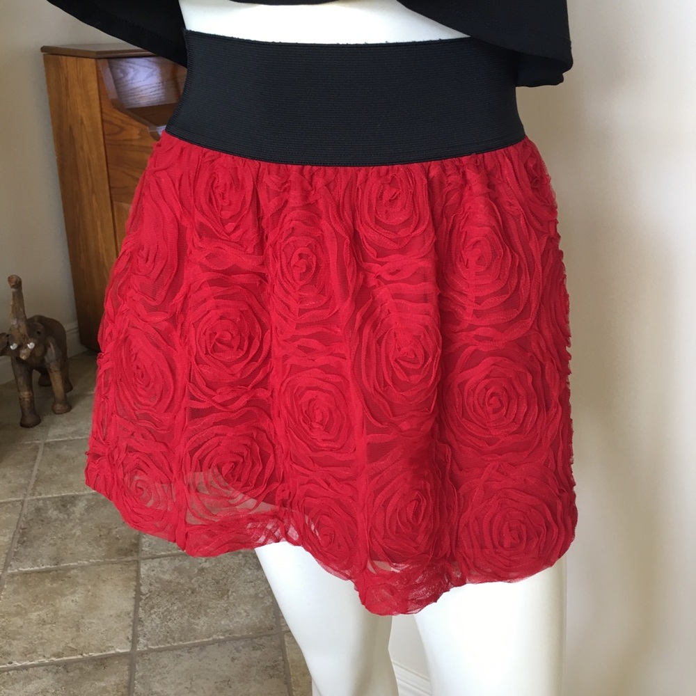 Stooshy Roses Tulle Mini Skirt. Ladies Small👩‍🎤